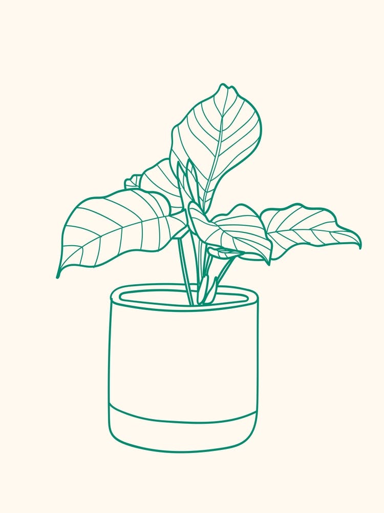 Line Drawing Green Pot Plant