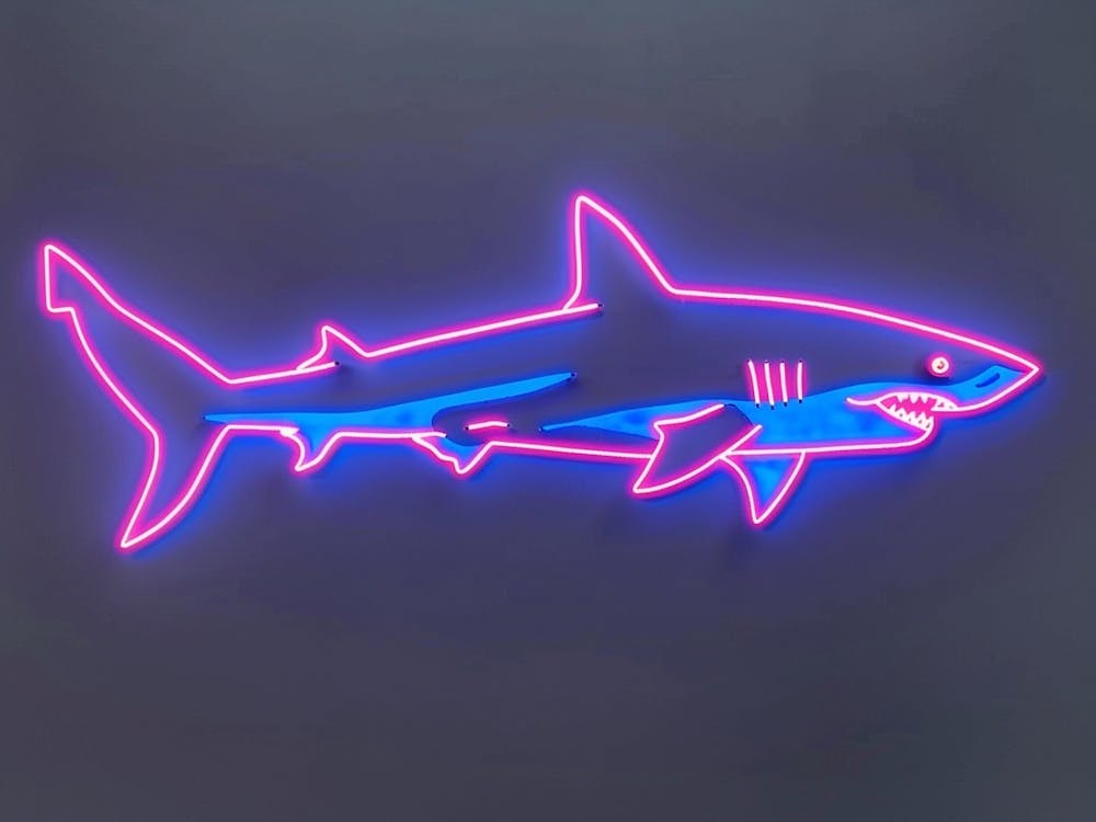 Neon White Tip Reef Shark 4