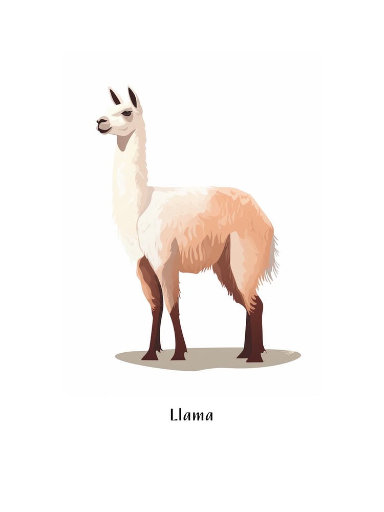 Llama Kids Animal Poster