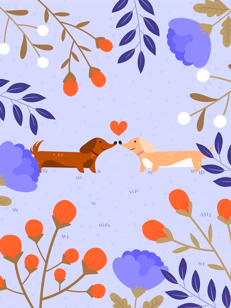 Dachshunds In The Garden