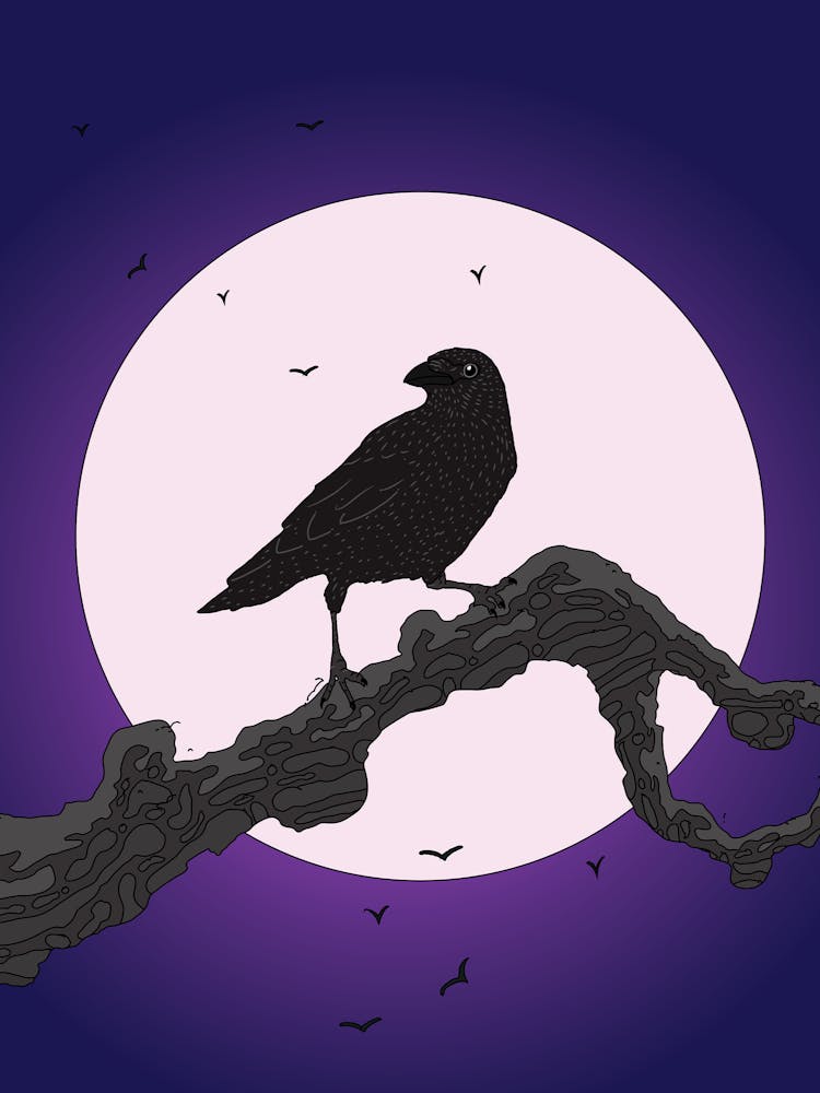 Crow On A Branch 2
