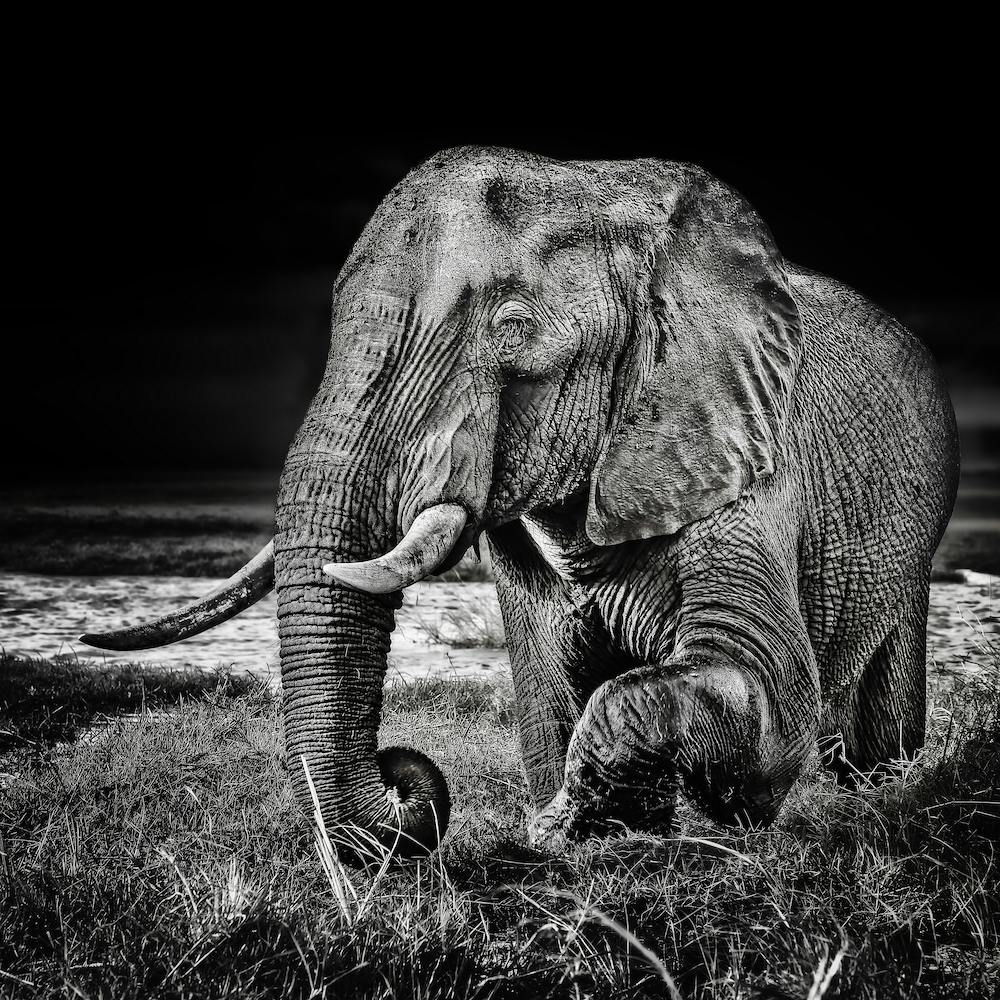 Sunset At The Waterhole