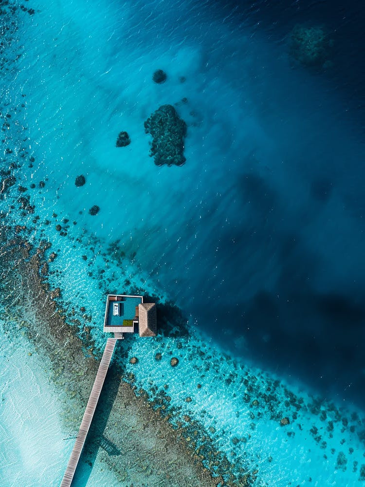 Scuba Diving In The Maldives 1