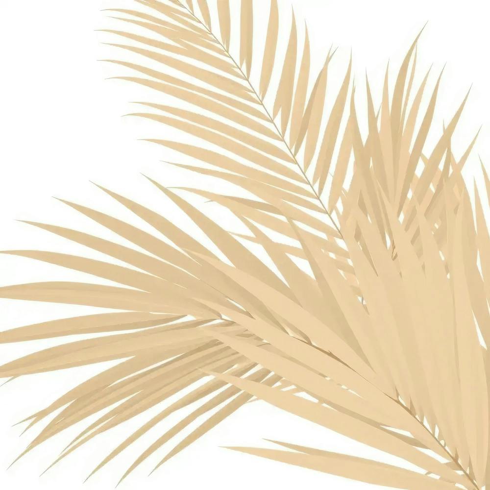 Palm Leaves