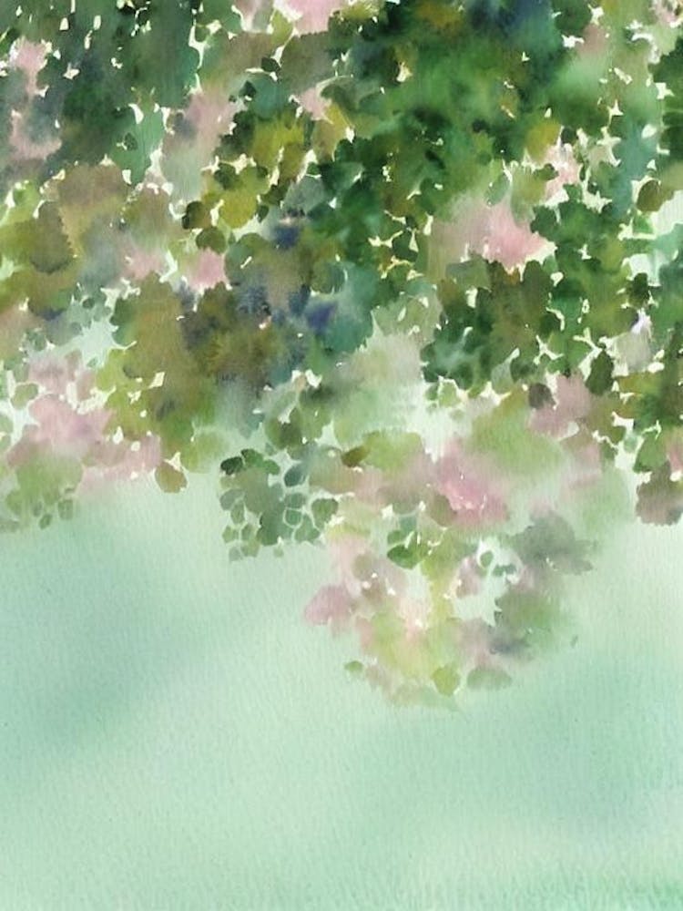 Acropora Efflorescens Storybook Watercolour