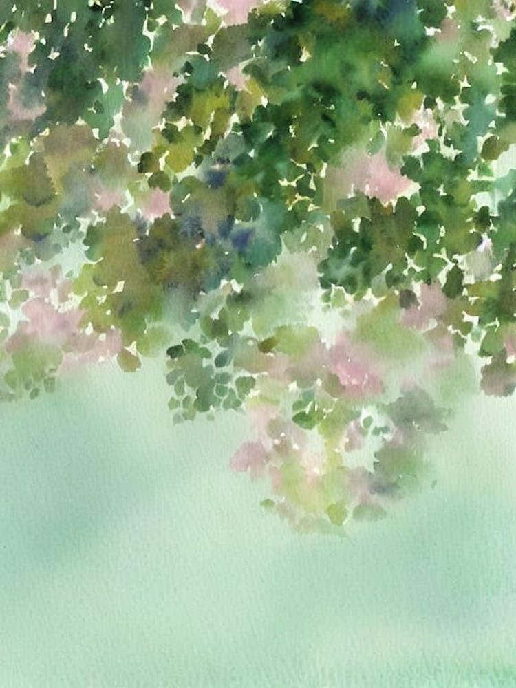 Acropora Efflorescens Storybook Watercolour