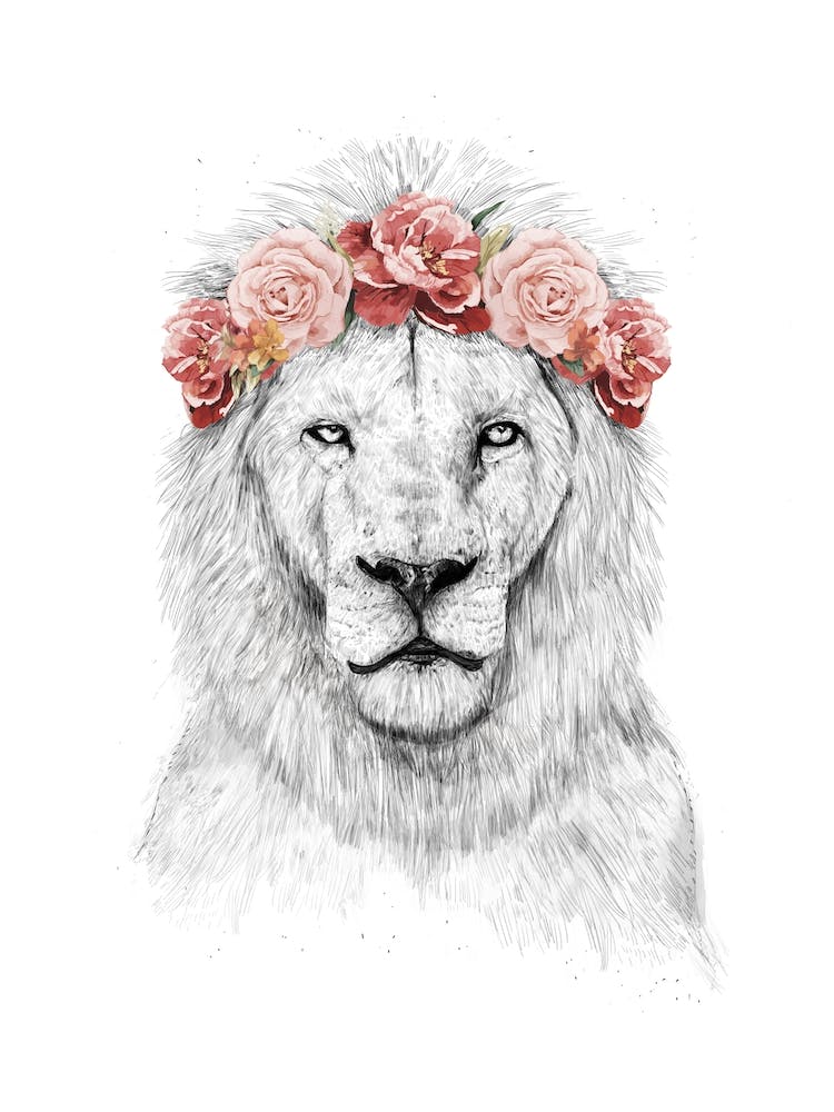 Festival Lion