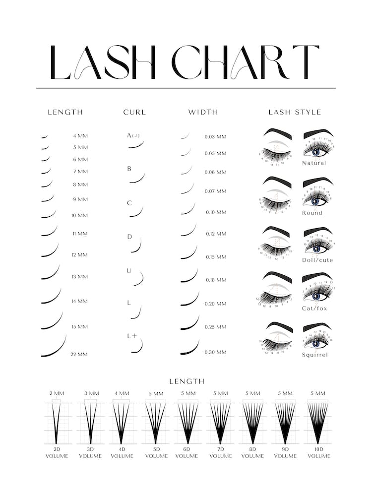 Lash Chart Decor 5