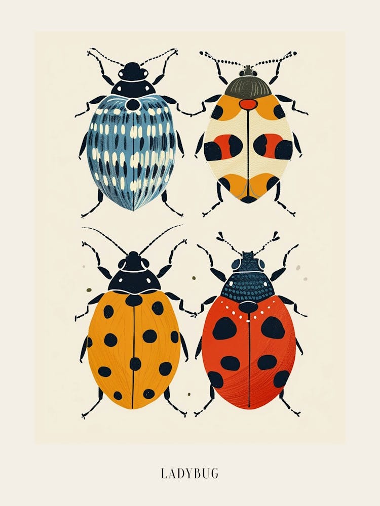 Colourful Insect Illustration Ladybug 13 Poster