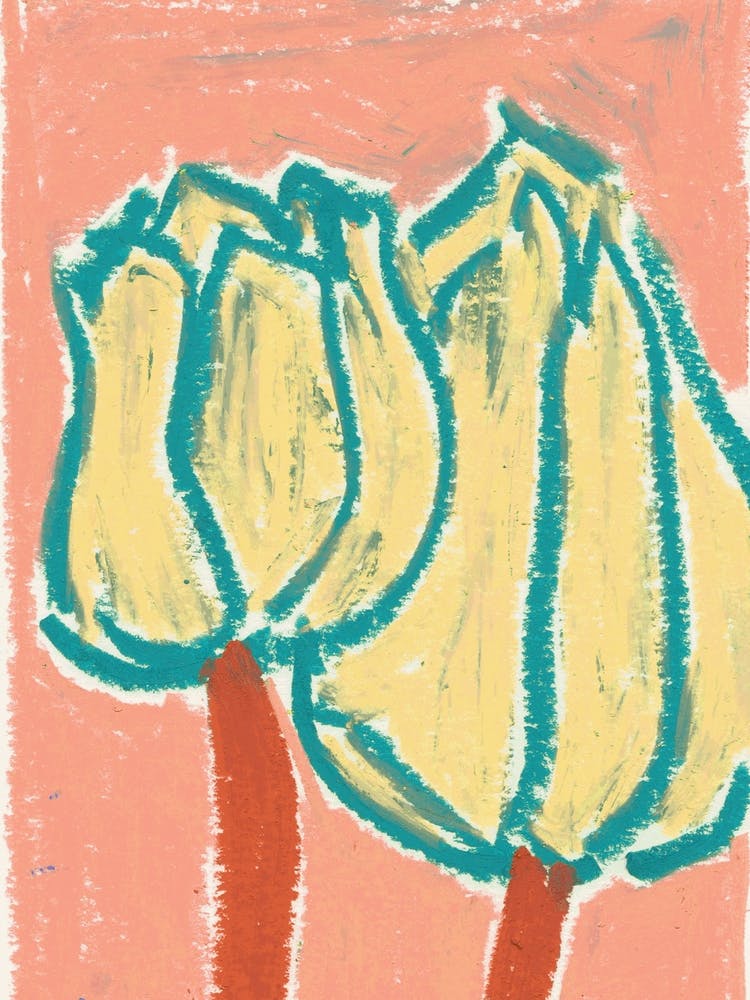 Apricot Tulips