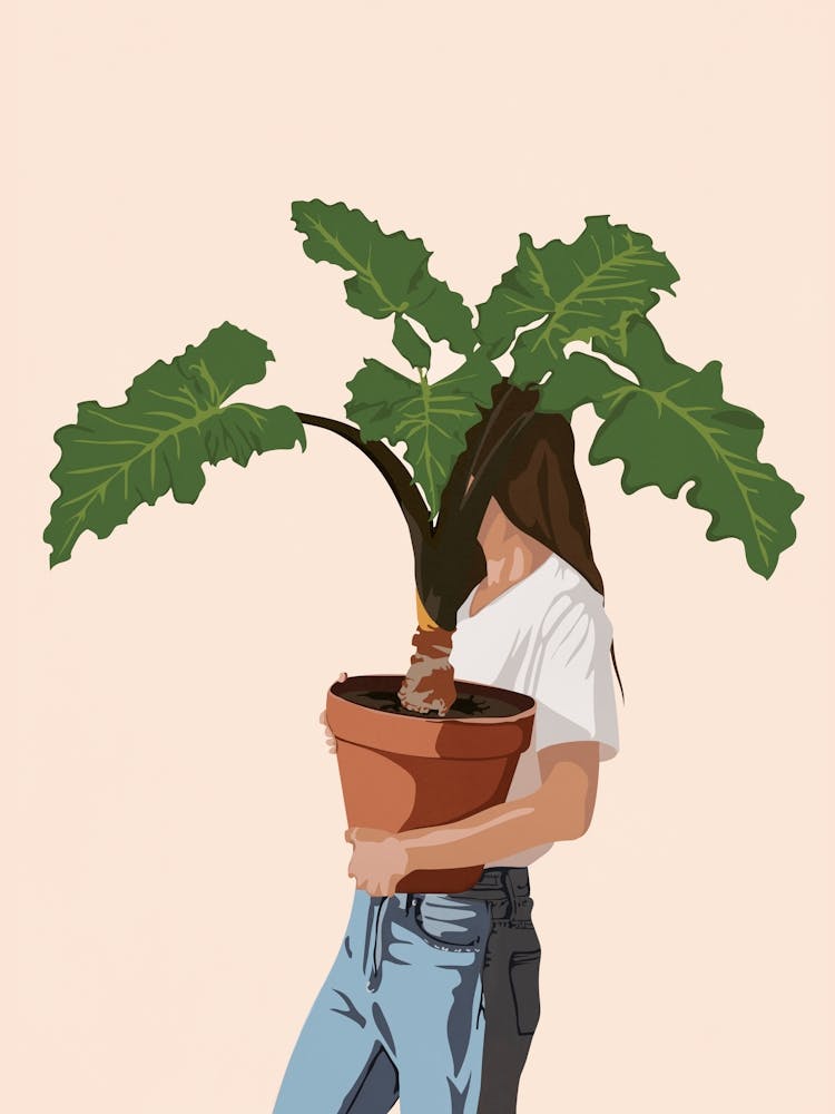 Vase Plant 2