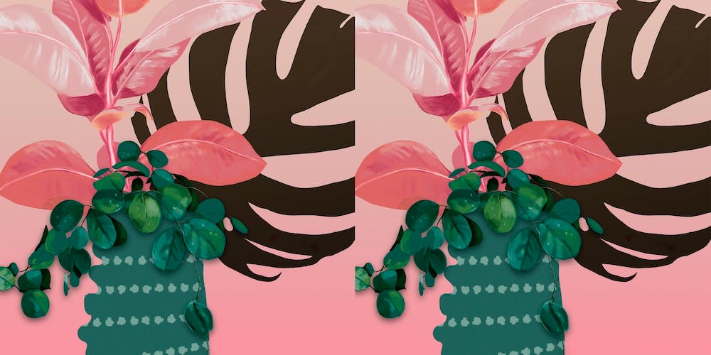 Tropical Leaves
