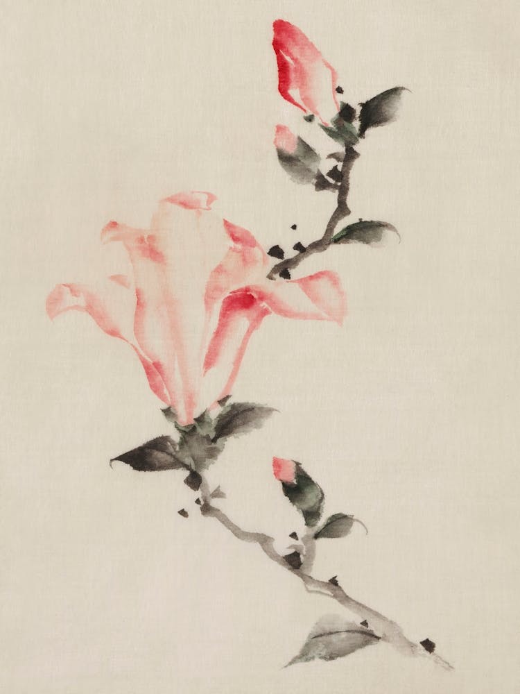 Large Pink Blossom On A Stem With Three Additional Buds, Katsushika Hokusai