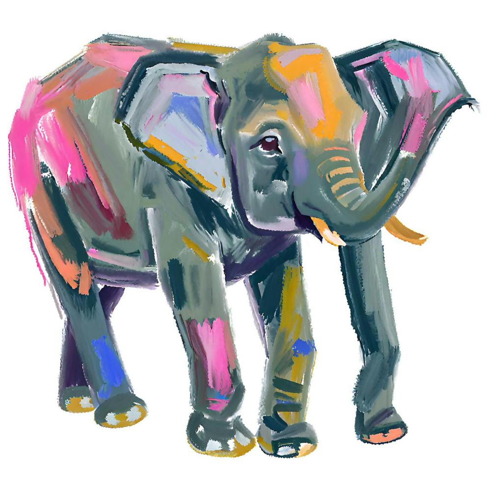 Asian Elephant 04