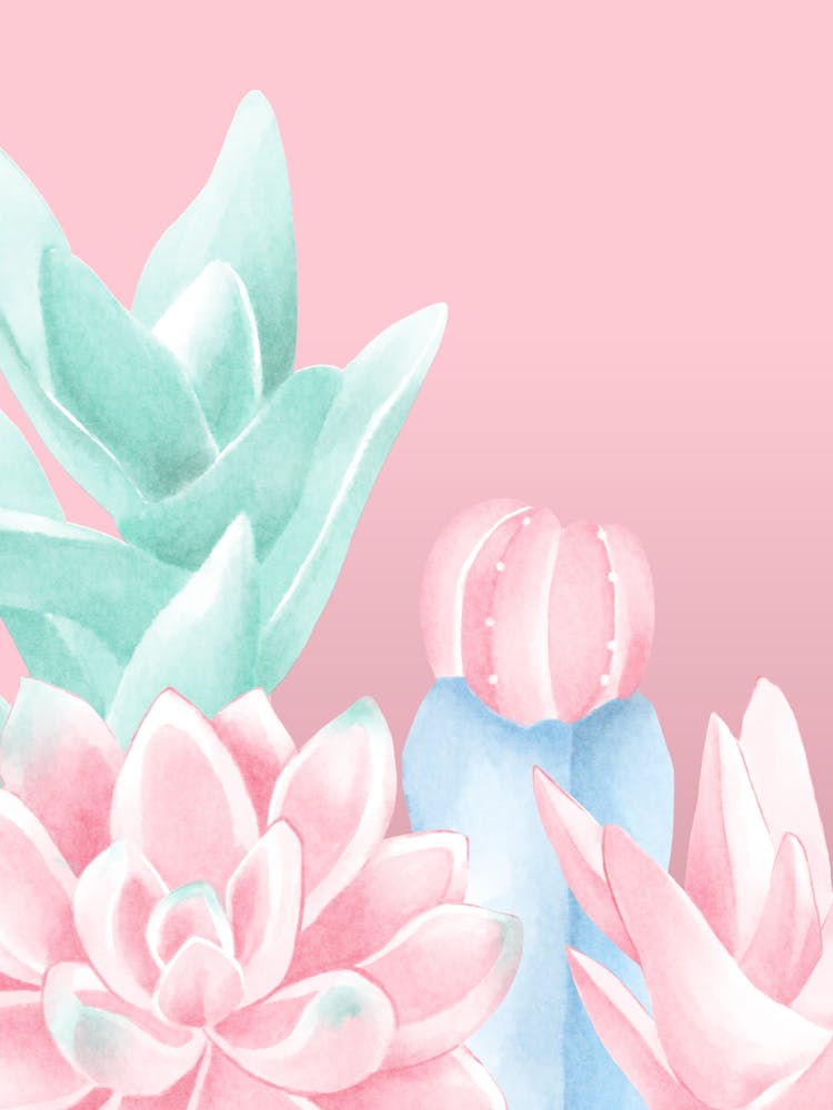 Watercolor Succulents