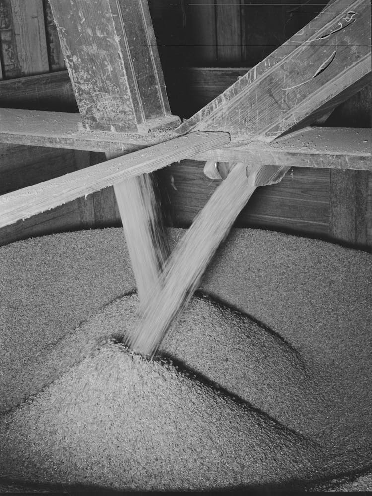 Rice Pouring Into Chutes From Storage Bin, Crowley, Louisiana By Russell Lee