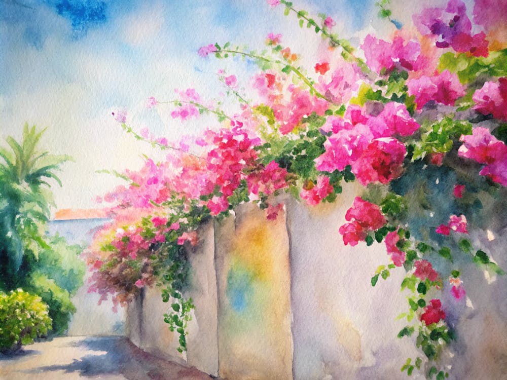 Aquarell von Bougainvillea 1