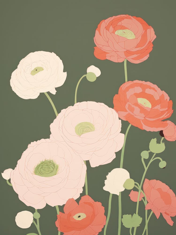 Ranunculus Flower Big Bold Illustration 4