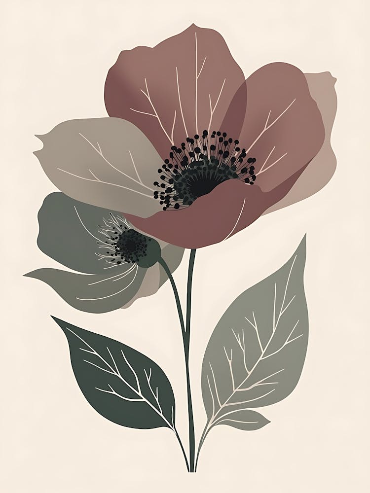 Anemone