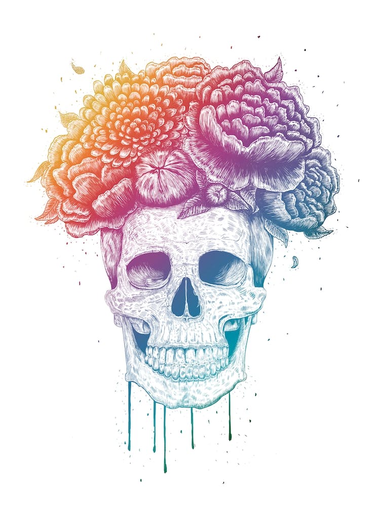 Colorful Skull