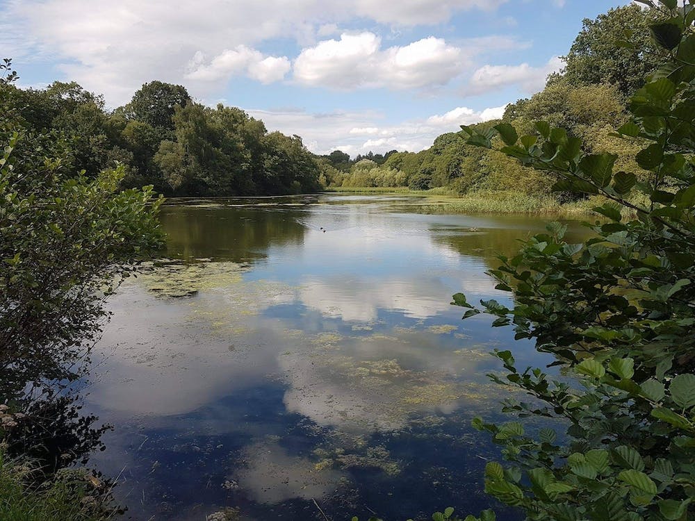 Reflections In A Lake
