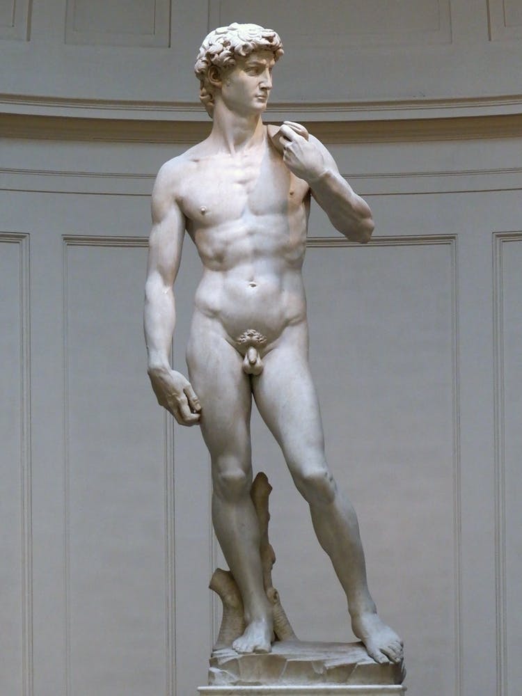 David (Michelangelo) Statue Florence Photographie Complet Italien Italie Milan Venise Florence Rome Naples Toscane photo photographie art voyage