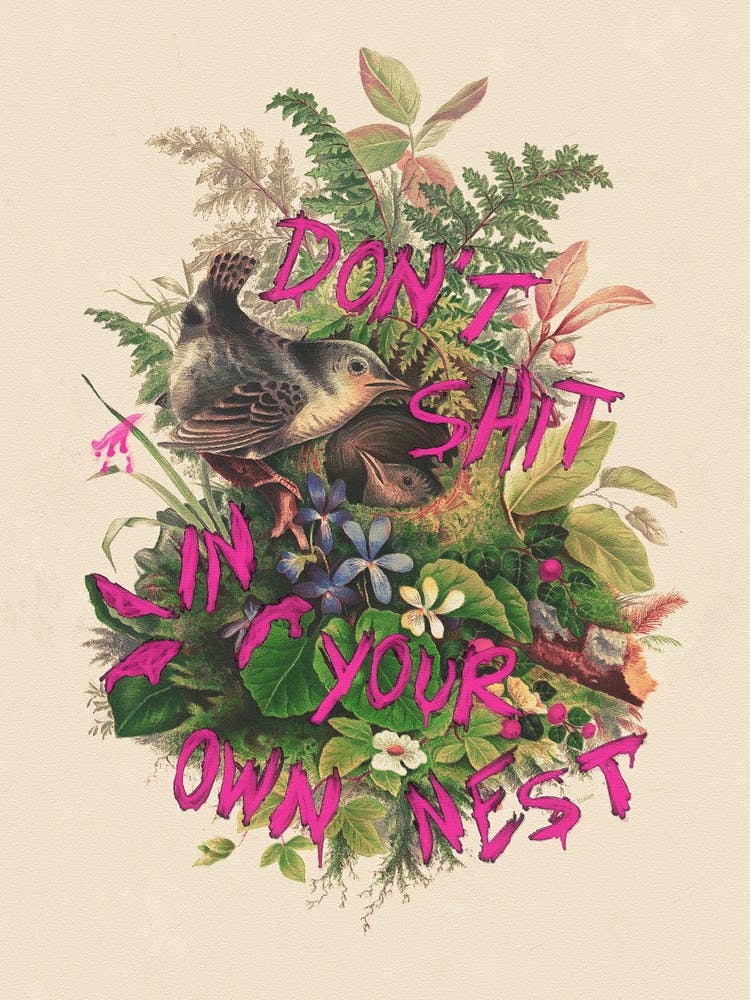 Don't Shit In Your Own Nest