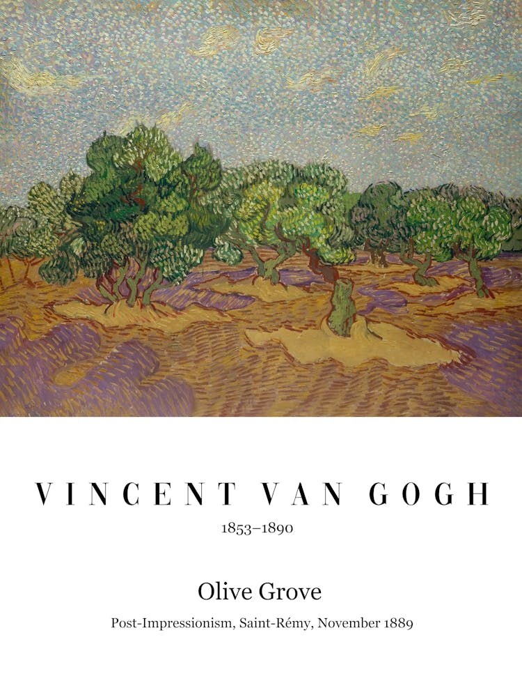 Olivenbäume, Vincent Van Gogh, Typografie Text, Natur Malerei