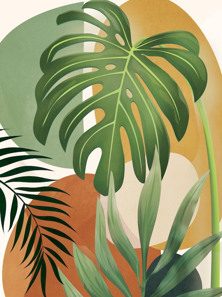 Tropic Moment 1