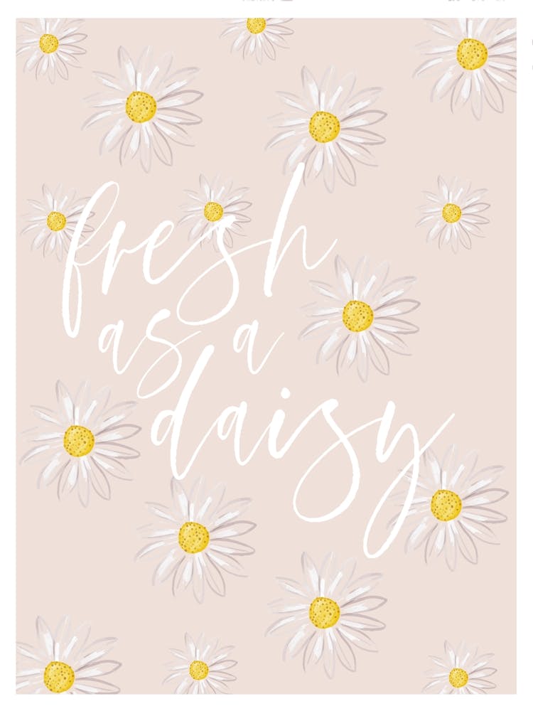 Fresh as a Daisy Multiple Daisies Peach 1