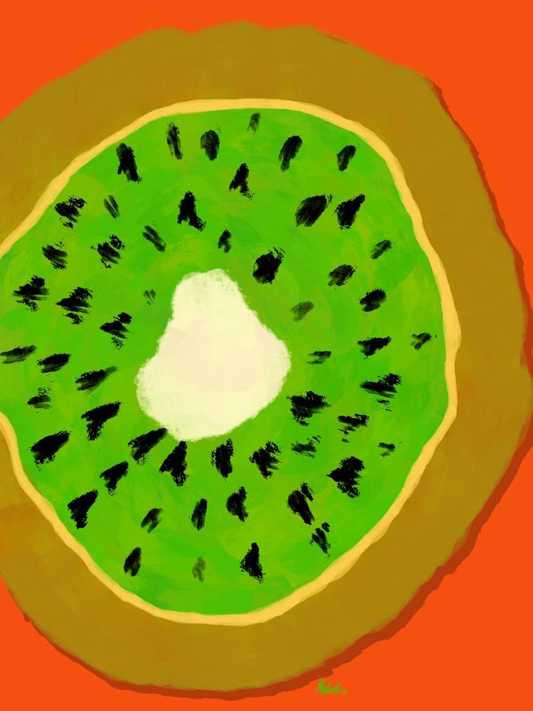 Kiwi Fruit - Artwork