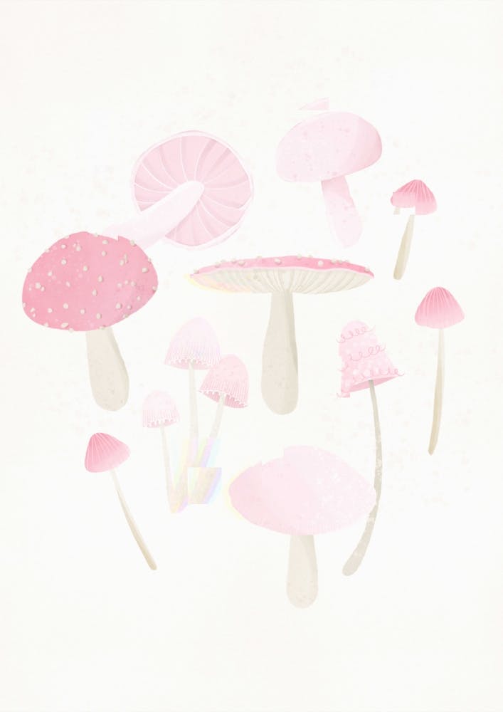 Pink Mushrooms
