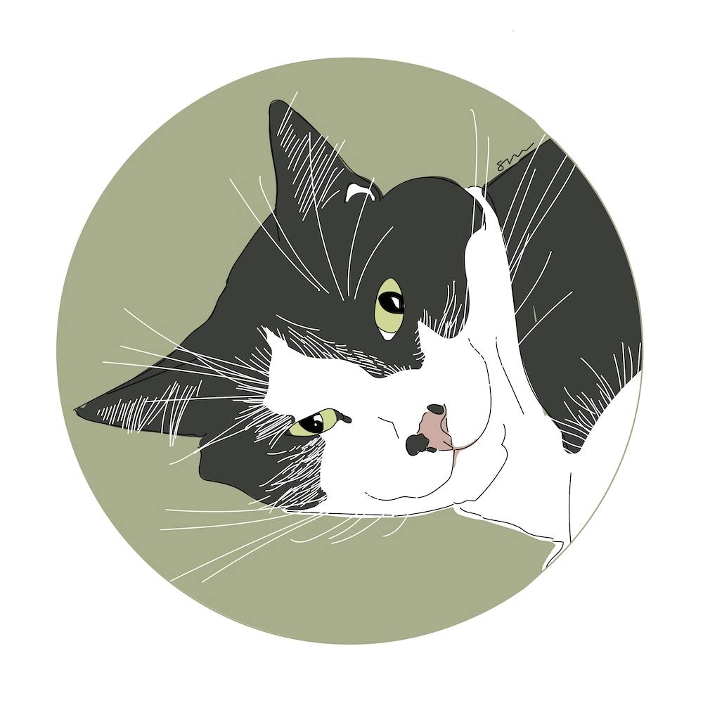 Black & White Cat with Green Eyes