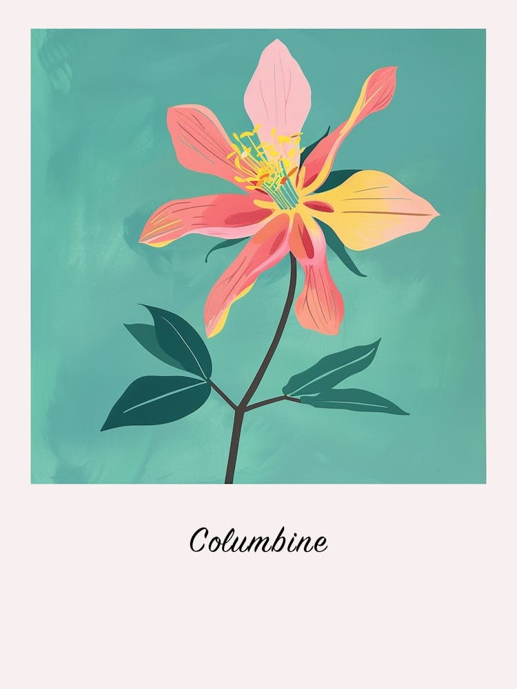 Columbine 3 Square Flower Illustration Poster