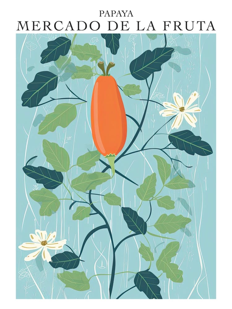 Mercado De La Fruta Papaya Illustration 1 Poster