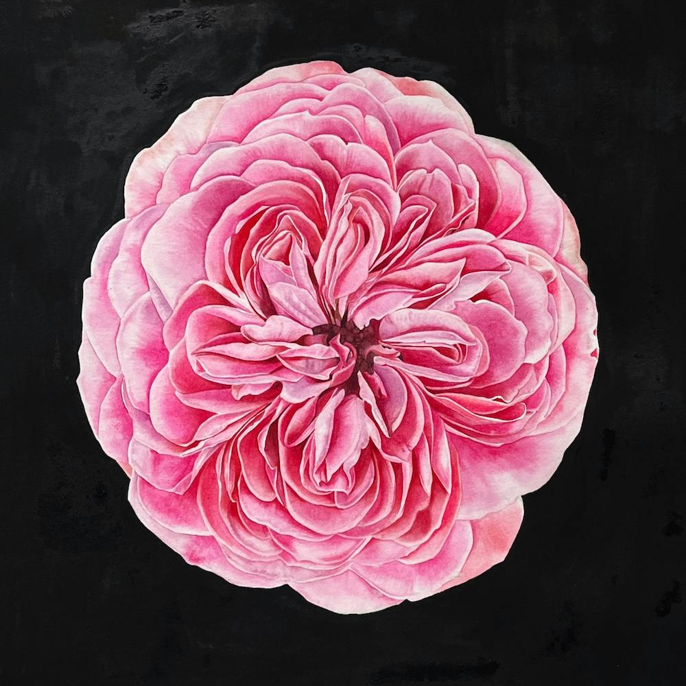 Eternal Pink