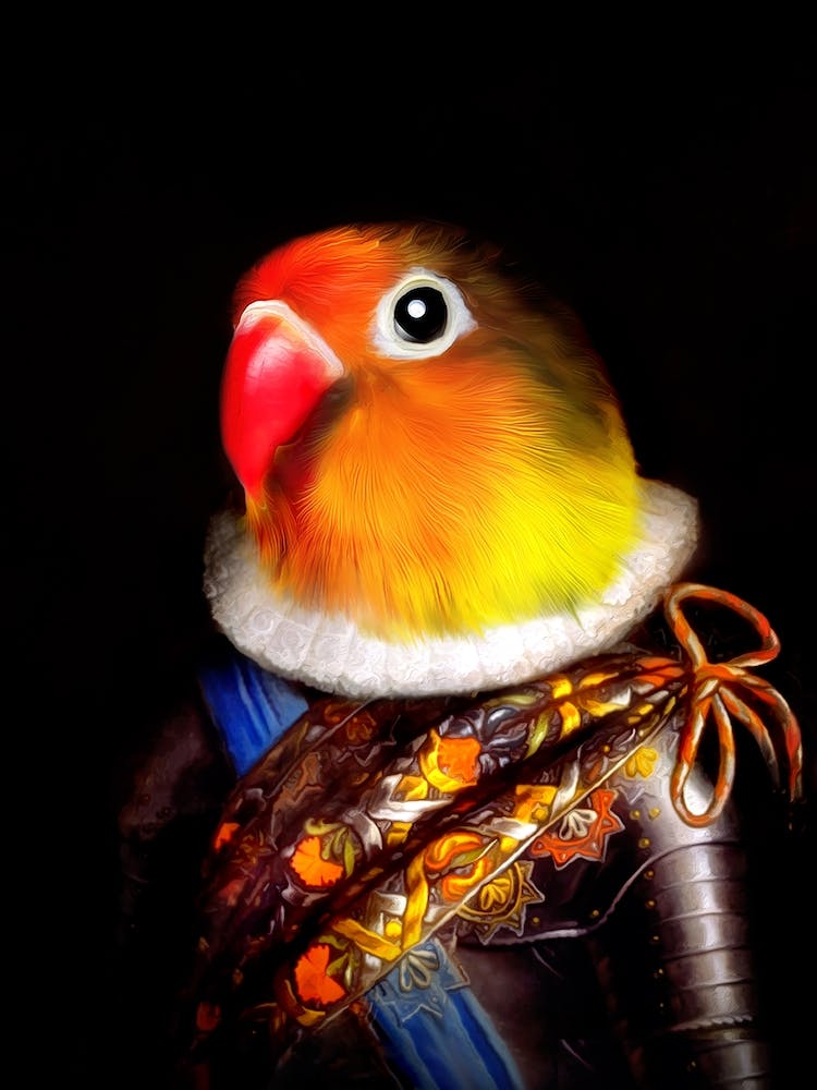 Hilarious Knight Bowie The Parrot Pet Portraits