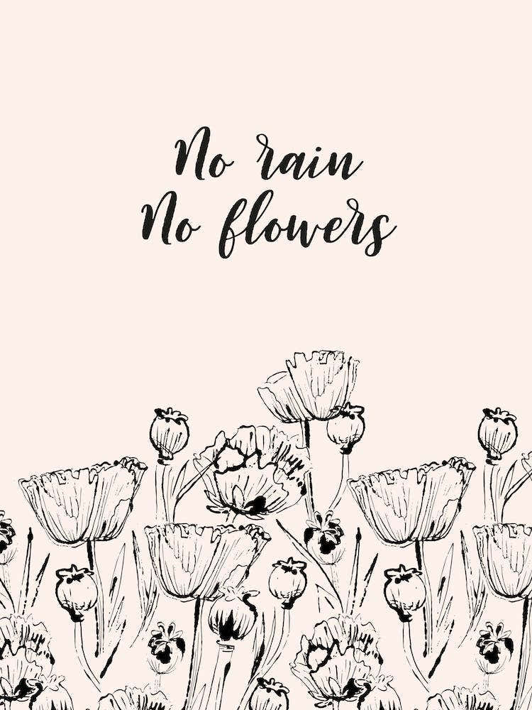 No Rain No Flowers