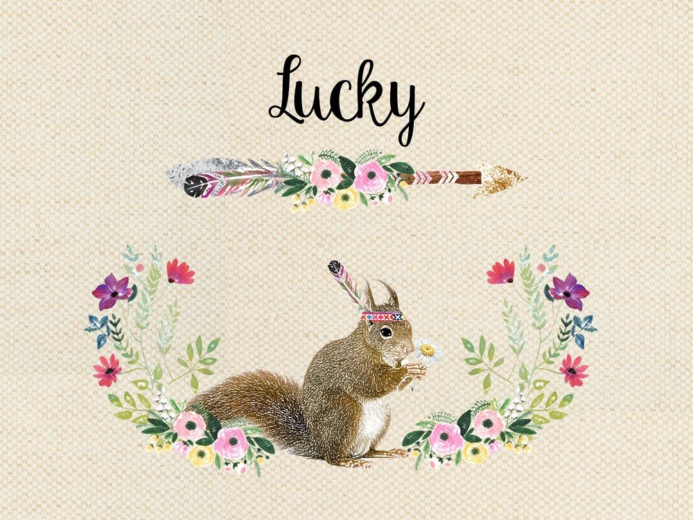 Lucky Squirrel