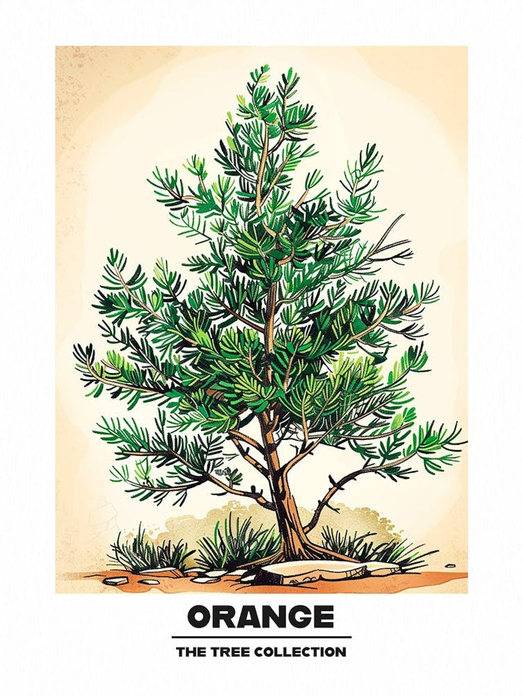Orange Tree Storybook Illustration 2 Poster