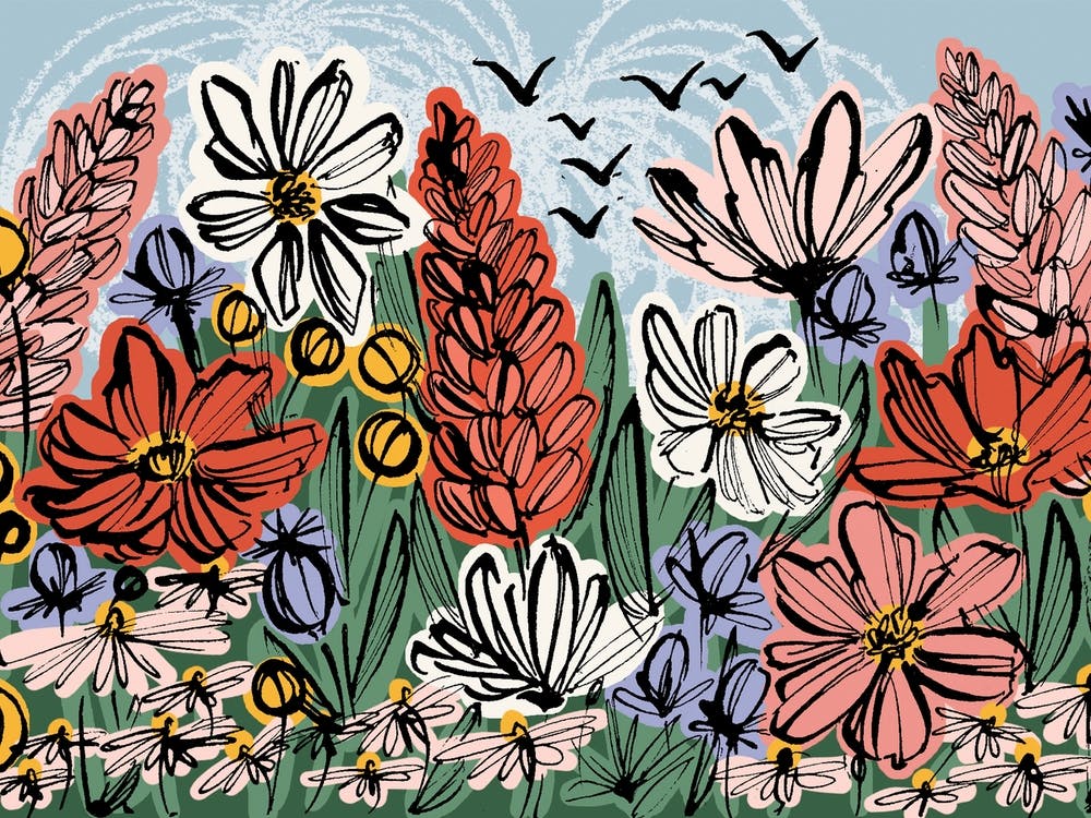 Wildflower Meadow
