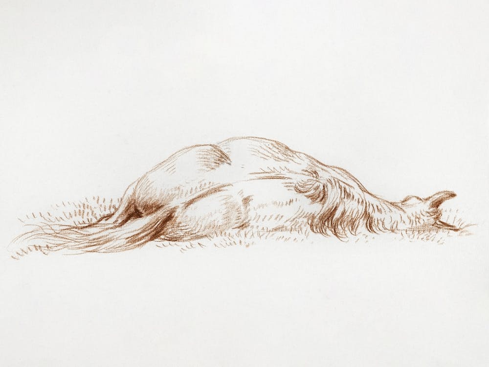 Lying Horse, Jean Bernard