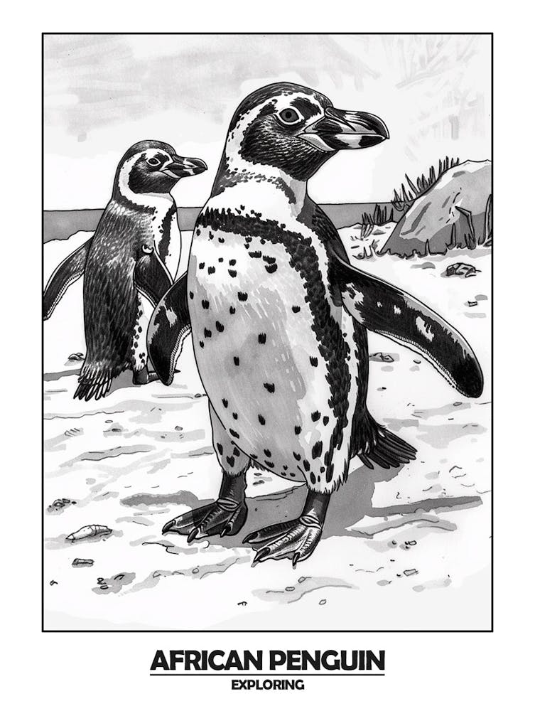 Penguin Exploring Poster 2