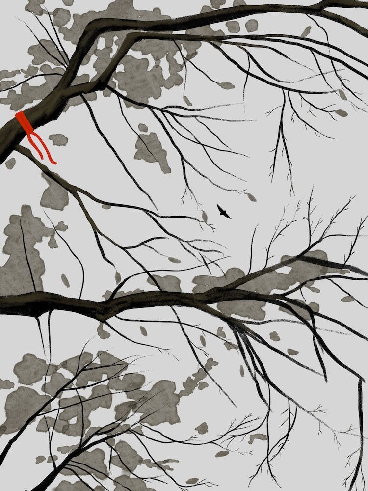Ordinary Life