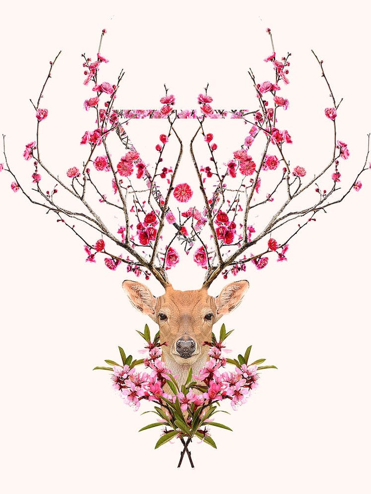 Spring Deer