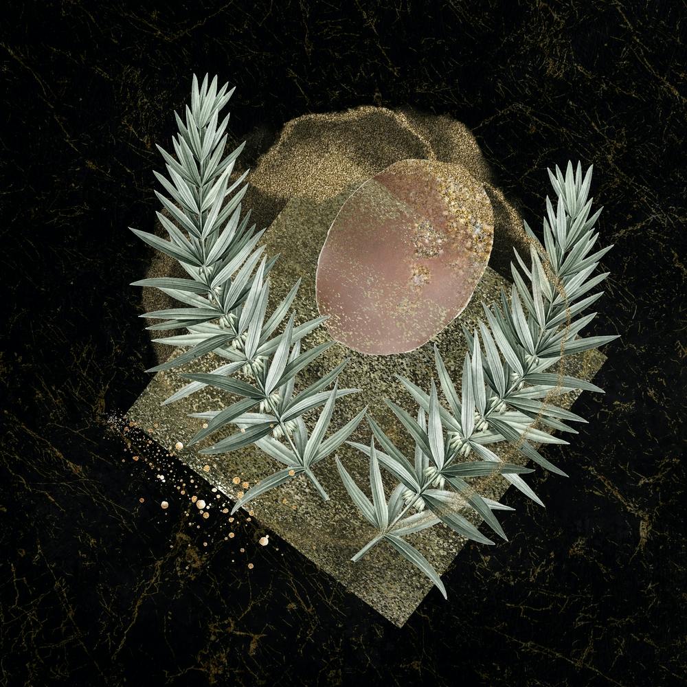 Geo Botanical 1