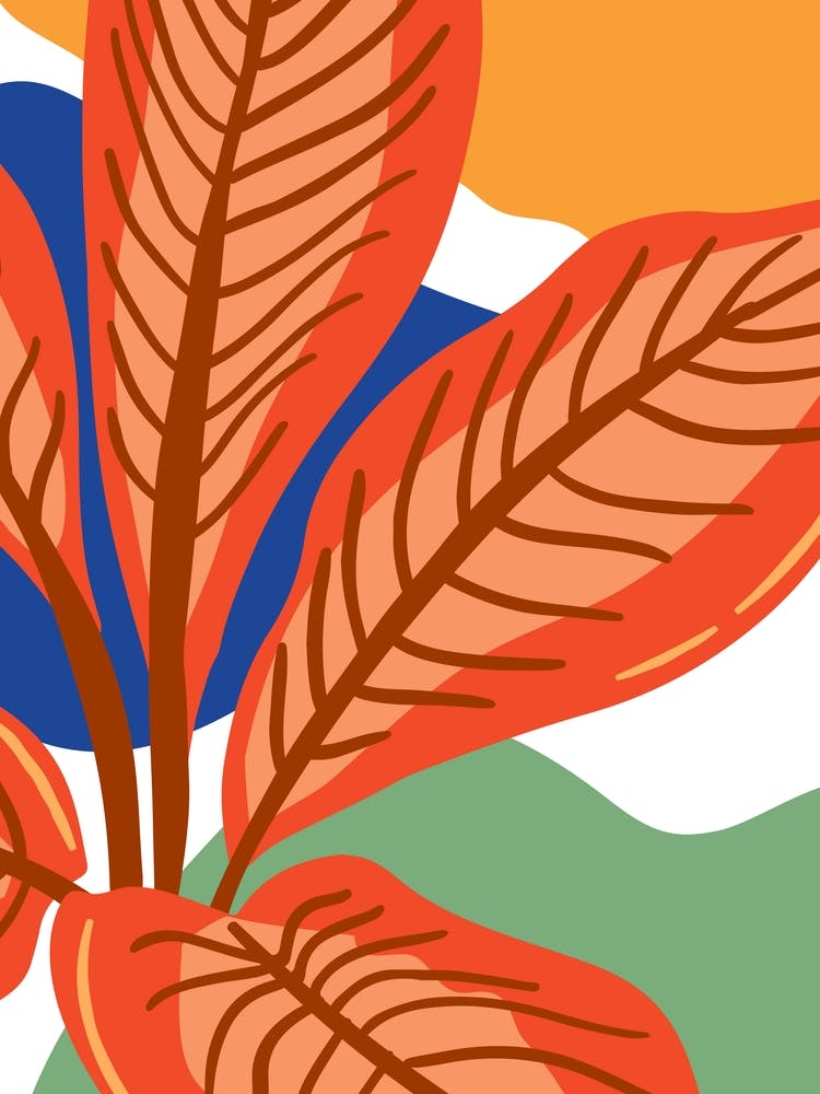 Tropical Leaves
