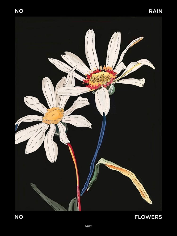 No Rain No Flowers Poster Daisy 2