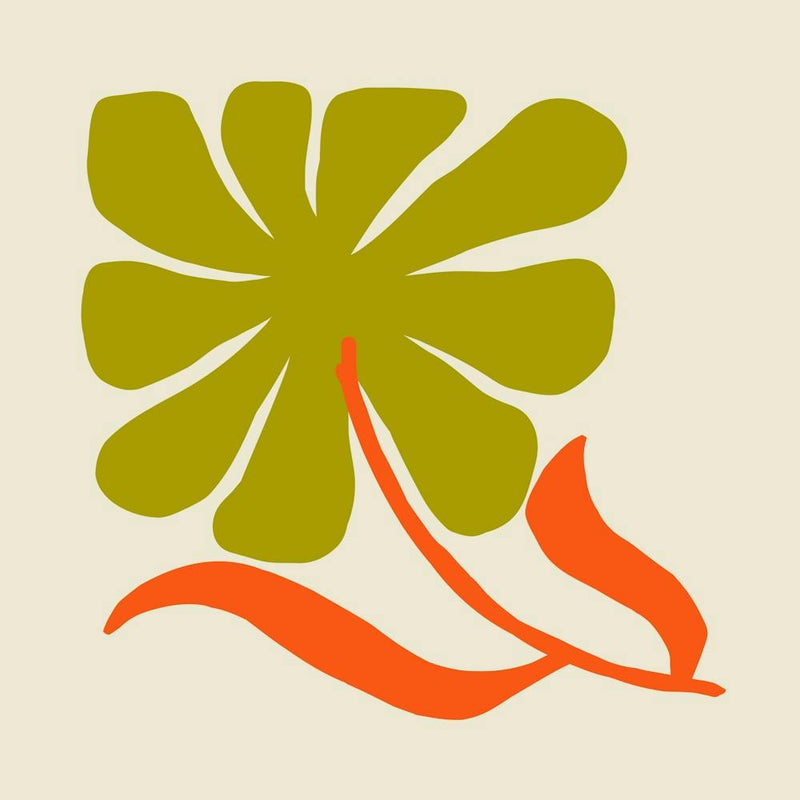 Lily Of The Valley 24