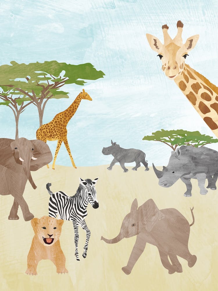 Safari Animals